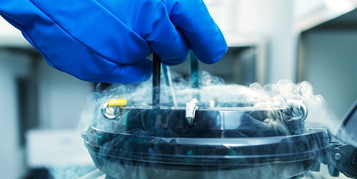 best ivf centre in Delhi